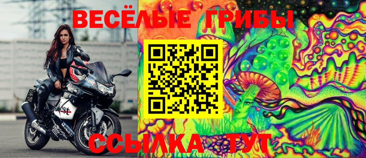Галлюциногенные грибы Cubensis  купить наркоту  Ревда  Галлюциногенные грибы GOLDEN TEACHER  Вход с VPN 